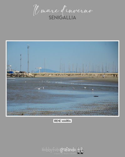"Il mare d'inverno" Senigallia - foto: Irene Marra #hobbyfotografando