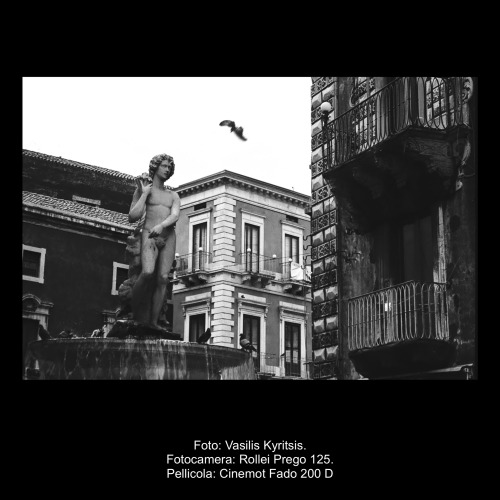 Cinemot-Fado-200d-2