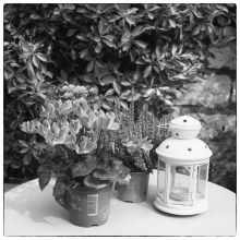 Foto-Aurelio-Stoppini-Rolleicord-e-Ilford-HP5-1201