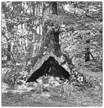 Foto-Aurelio-Stoppini-Rolleicord-e-Ilford-HP5-1208