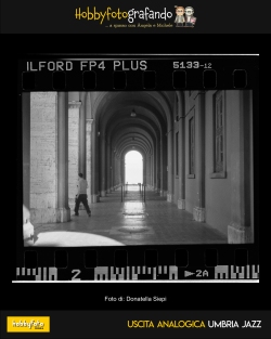 Siepi_Donatella-04
