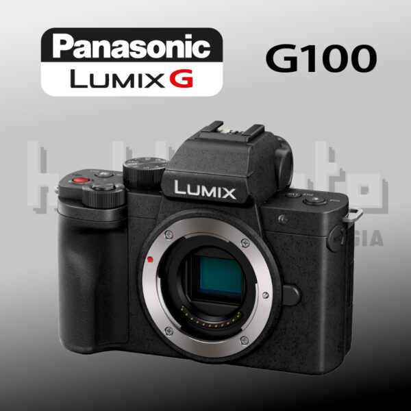 Panasonic Lumix G100 body