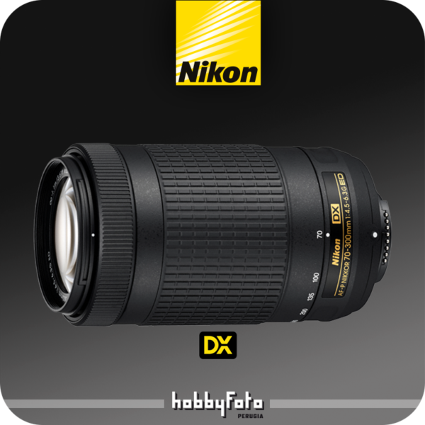 NIKON AF-P DX NIKKOR 70-300mm f/4.5-6.3G ED