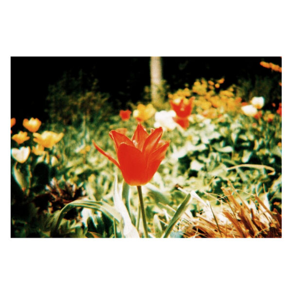 Lomography Konstruktor Flash SLR DIY (Fotocamera da costruire, fai da te) - immagine 4
