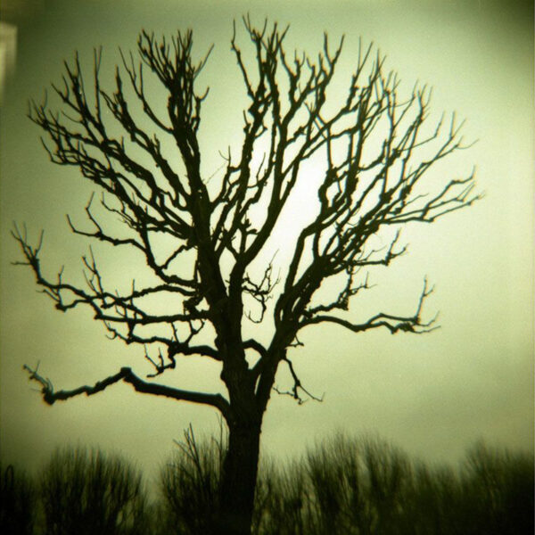 Diana F+ e Flash | fotoamera Lomography - immagine 5