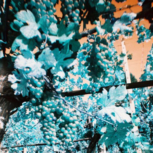 Fotocamera Simple Use Ricaricabile LomoChrome Turquoise - immagine 3