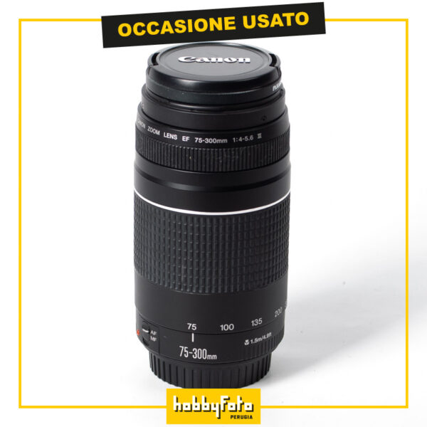 Canon EF 75-300mm f/4-5.6 III