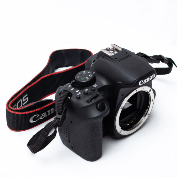 USATO: Canon EOS 850D - immagine 5