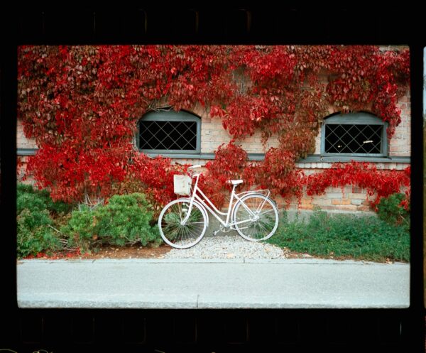 SantaColor100 pellicola negativa a colori 35mm 100 Iso 36 pose - immagine 5