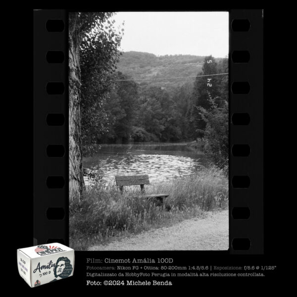 Cinemot | Amália  100 D  135-36 p. | Pellicola negativa bianco e nero - immagine 6