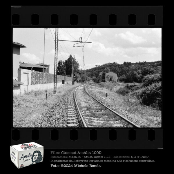 Cinemot | Amália  100 D  135-36 p. | Pellicola negativa bianco e nero - immagine 7