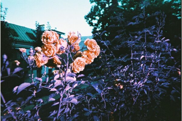 Fotocamera Simple Use Ricaricabile LomoChrome Purple - immagine 8