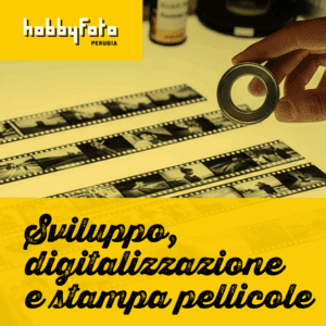 Servizi di Sviluppo Stampa e Digitalizzazione