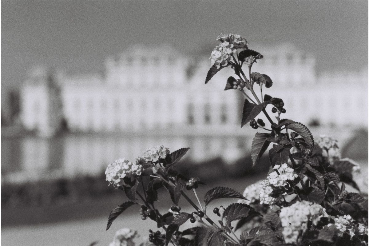 Lomography - Berlin Kino B/N 35 mm ISO 400 - immagine 13