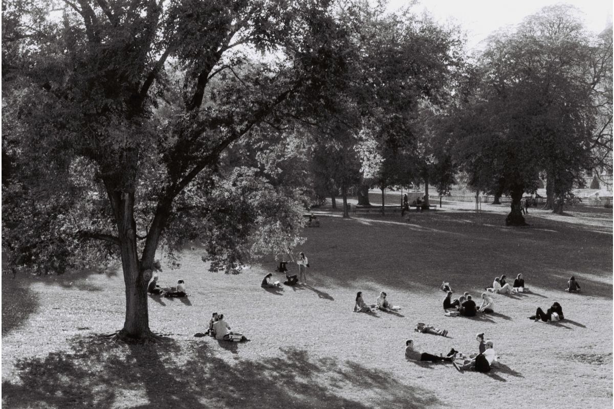 Lomography - Berlin Kino B/N 35 mm ISO 400 - immagine 11